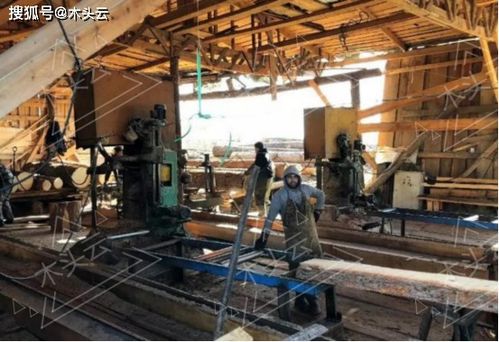 木屑产业成俄罗斯投资新贵