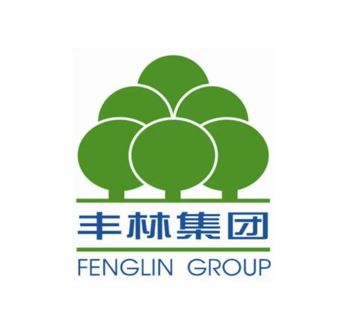 广西丰林木业集团股份