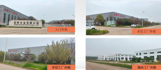 宏耐地板&宏耐木门袁腾:三套完整工程服务体系形成企业核心竞争力