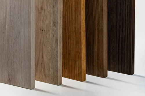 拜勒尼以环保之名 演绎美学空间