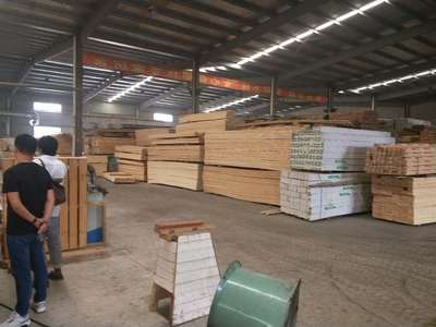 安徽红雪松工厂 上海熙享木业