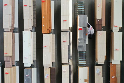 河北唐山 木业产业提档升级助推高质量发展